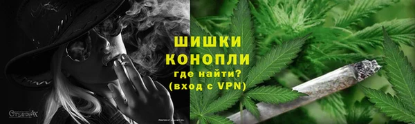 винт Белокуриха