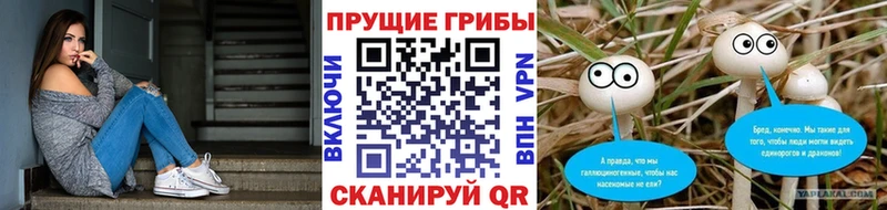 наркошоп  Тольятти  Галлюциногенные грибы прущие грибы 